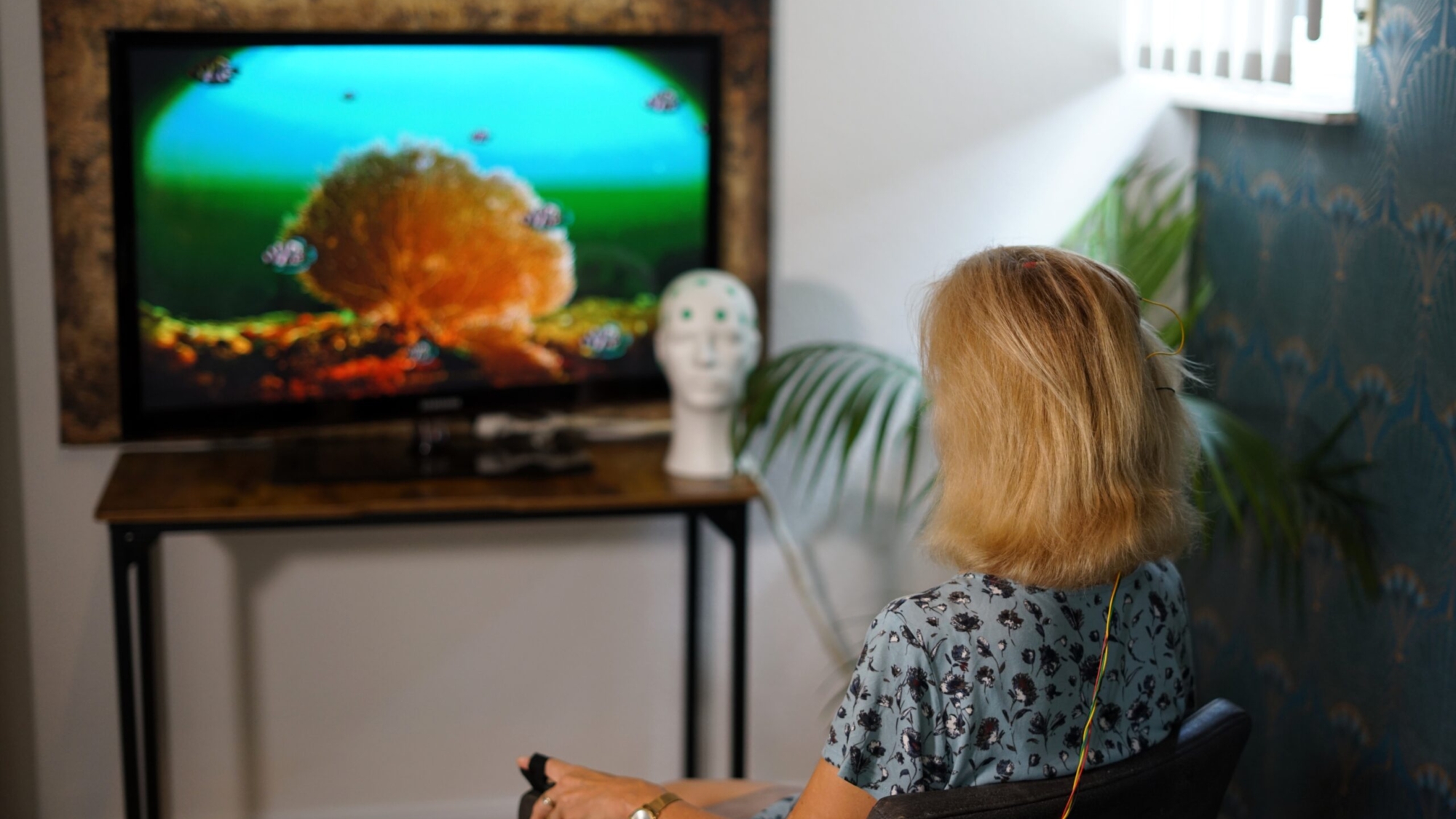 Neurofeedback Therapie